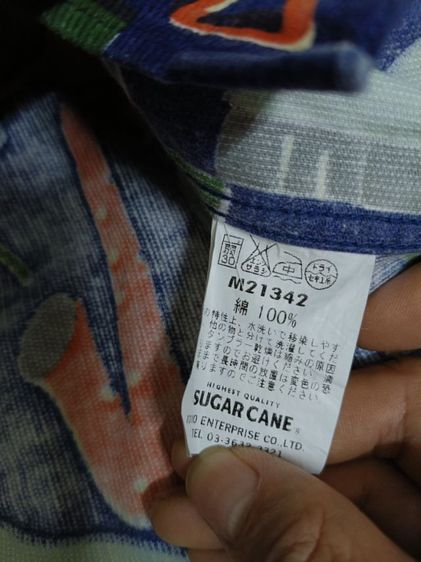 Sugar Cane รูปที่ 5