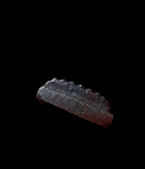 หลวงปู่ทวดหลังเตารีดปี06 พิมพ์หน้าแก่ วัดไทรใต้ จ.นครสวรรค์ รูปที่ 5