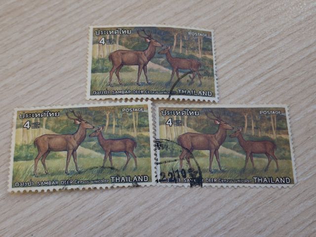 แสตมป์ดวงละ10บาท รูปที่ 17