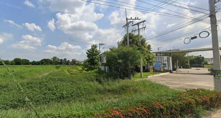 ขายที่ดินเหมาะทำหมู่บ้าน ลำลูกกาคลอง 4 ถนนพระองค์เจ้าสาย รูปที่ 2