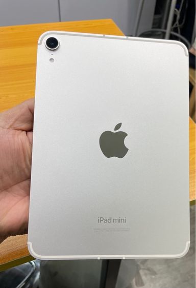 Apple 128 GB ipad mini7 128GB WiFi Cellular 