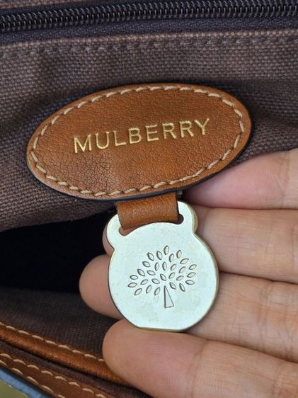 Mulberry Alexa Y.2015 รูปที่ 12