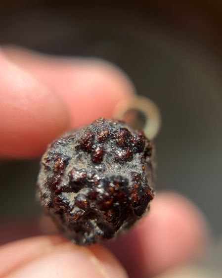 เปิดตะกรุด3ห่วง 2.5นิ้วไม่ทราบที่(มีสินค้าหลายรายการกดเข้ามาดูในโปรไฟล์ได้เลยครับ) รูปที่ 5