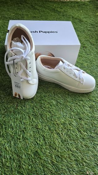 รองเท้าผ้าใบ หนังแท้ UK 5.5 | EU 38 2/3 | US 7 ขาว รองเท้า Hush Puppies Sneaker ของแท้