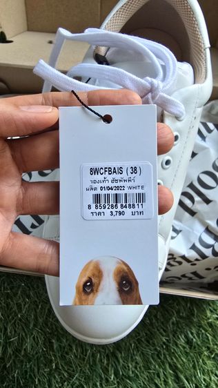 รองเท้า Hush Puppies Sneaker ของแท้ ของใหม่ รูปที่ 7