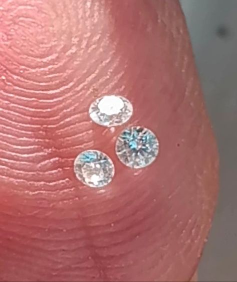 เพชรเกสร รูปที่ 2