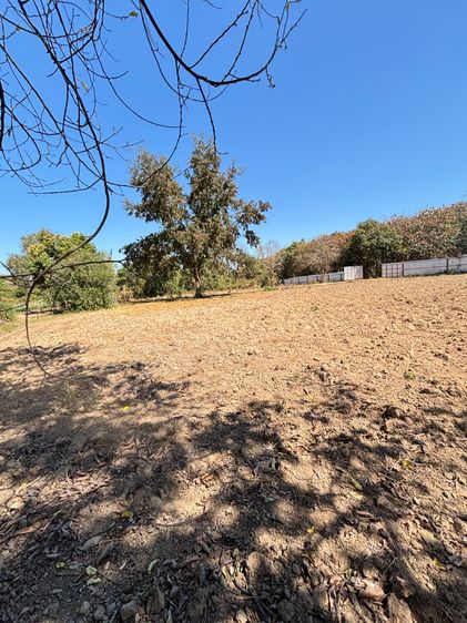 ขายที่ดินแปลงสวย ทำเลทอง อำเภอพนัสนิคม จังหวัดชลบุรี