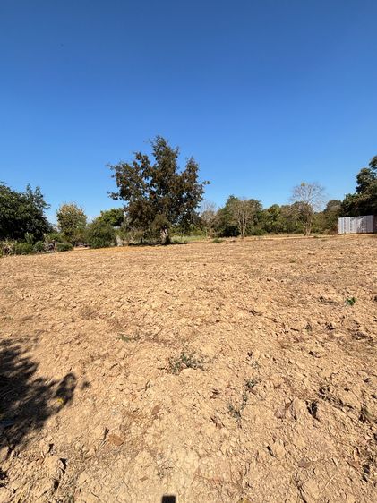 ขายที่ดินแปลงสวย ทำเลทอง อำเภอพนัสนิคม จังหวัดชลบุรี รูปที่ 2