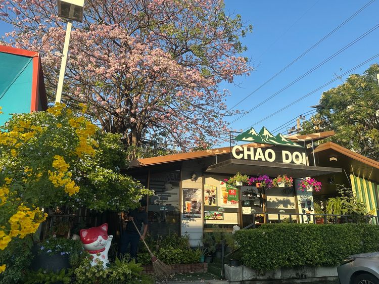 เซ้งร้านกาแฟ ชาวดอย ในปั๊มคาลเท็กซ์ ถนนกิ่งแก้ว อ.บางพลี จ. สมุทรปราการ มีที่จอดรถ รูปที่ 5