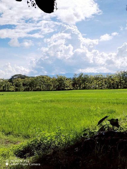 ที่ดินแปลงสวย พื้นที่ขนาด 12 ไร่ 90.7 ตารางวา รูปที่ 4