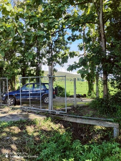 ที่ดินแปลงสวย พื้นที่ขนาด 12 ไร่ 90.7 ตารางวา