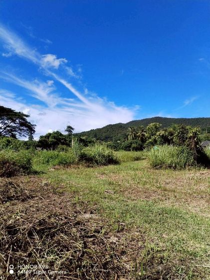 ที่ดินแปลงสวย พื้นที่ขนาด 12 ไร่ 90.7 ตารางวา รูปที่ 3