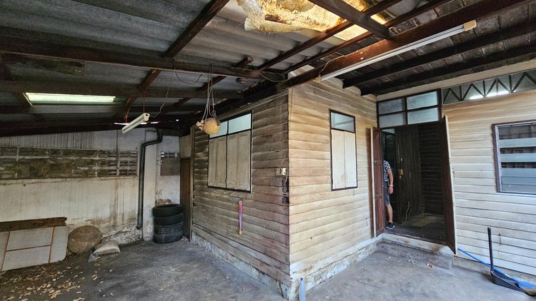 ไม้เก่า