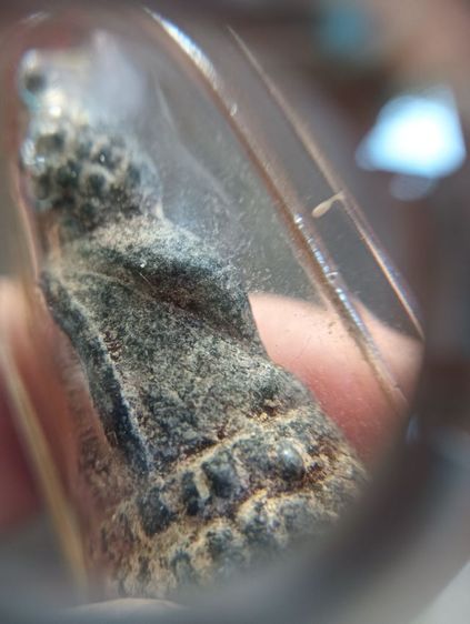 พระเก่าในกรอบพลาสติก 1 องค์ รูปที่ 13