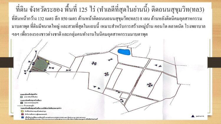 ขายที่ดิน 118 ไร่ ระยอง ติดสุขุมวิท 8 เลน หลังติดนิคมมาบตาพุด (แถมฟรี 7 ไร่) ทำเล EEC รูปที่ 3