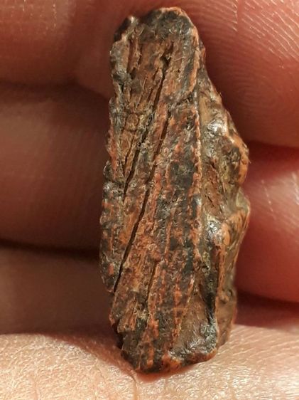 พระนางพญา พิมพ์สังฆาฏิ  กรุวัดนางพญา จ.พิษณุโลก เนื้อดินสภาพสวยสมบูรณ์ รูปที่ 4