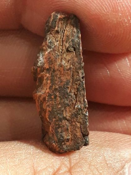 พระนางพญา พิมพ์สังฆาฏิ  กรุวัดนางพญา จ.พิษณุโลก เนื้อดินสภาพสวยสมบูรณ์ รูปที่ 3