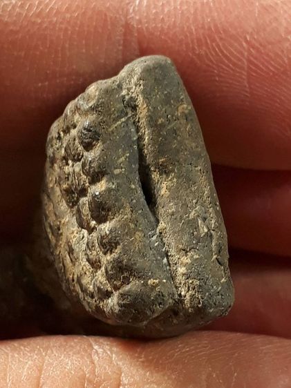 หลวงปู่ทวด วัดช้างให้ เนื้อว่าน ปี2497 พิมพ์ใหญ่กรรมการสภาพสวยสมบูรณ์ รูปที่ 3