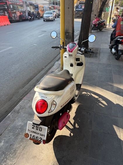 ขายสกู๊ปปี้2021 รูปที่ 3