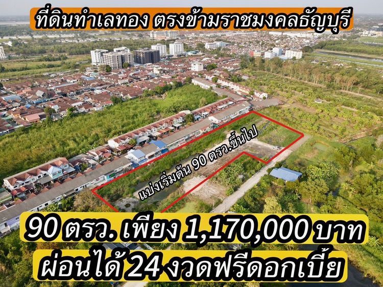 ที่ดินทำเลทอง เพื่อการลงทุน ซ.สุสวาสคลอง 6 ธัญบุรี ปทุมธานี ผ่อนได้ 24 งวดฟรีดอกเบี้ย รูปที่ 3