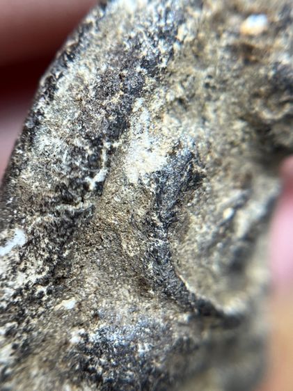 หลวงปู่ทวด เนื้อว่านพิมพ์ใหญ่ รูปที่ 9