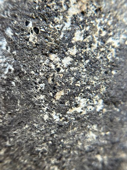 หลวงปู่ทวด เนื้อว่านพิมพ์ใหญ่ รูปที่ 10