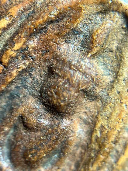 พระกรุวัดจุฬามณี พิมพ์หน้าฤๅษีหลังนาง เนื้อดินเผา จังหวัดพิษณุโลก  รูปที่ 10