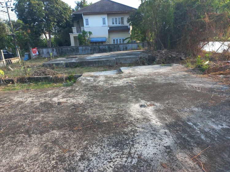 ขายที่ดิน119ตรว.หมู่บ้านดุลิยาทิพย์ ซอยประชาอุทิศ76 บ้านคลองสวน อ.พระสมุทรเจดีย์ รูปที่ 3