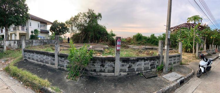 ขายที่ดิน119ตรว.หมู่บ้านดุลิยาทิพย์ ซอยประชาอุทิศ76 บ้านคลองสวน อ.พระสมุทรเจดีย์ รูปที่ 2