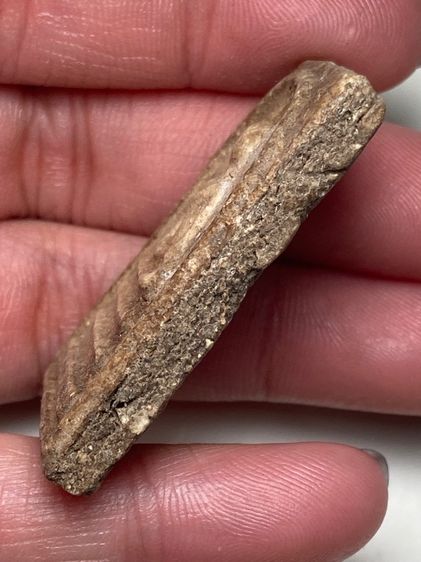 พระสมเด็จเนื้อผง รูปที่ 4