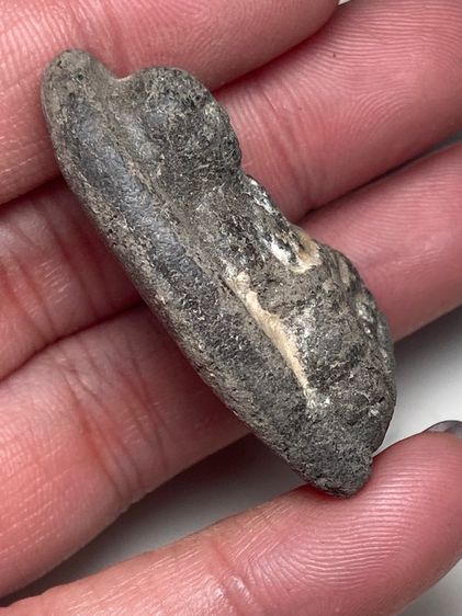 หลวงปู่ทวด รูปที่ 3