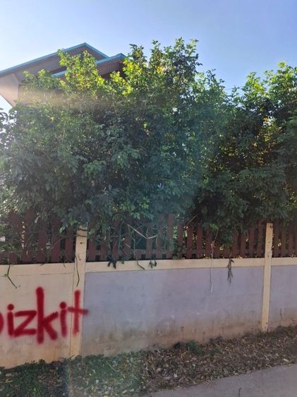 ไม่มี ไม่ใช่ บ้าน  เจ้าของขายเอง รูปที่ 2