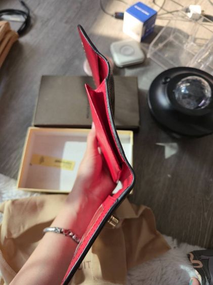 กระเป๋า Louis  รูปที่ 5