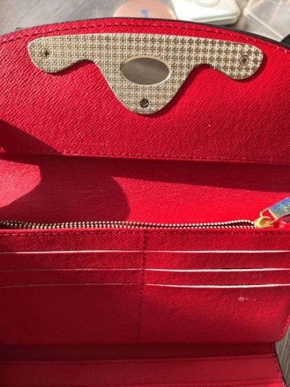 กระเป๋า Louis  รูปที่ 6