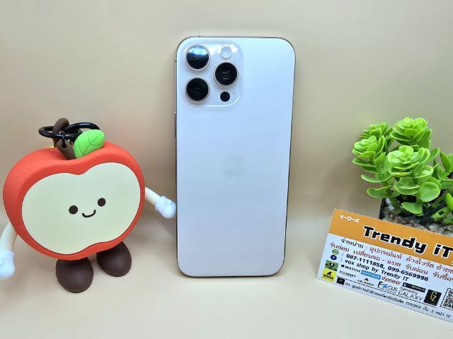 iPhone16 Pro Max รูปที่ 15