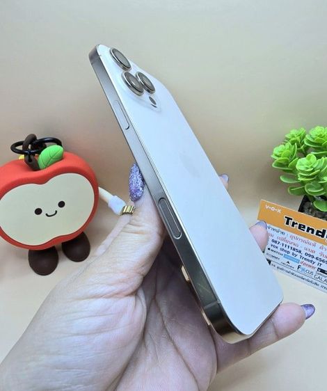 iPhone16 Pro Max รูปที่ 9