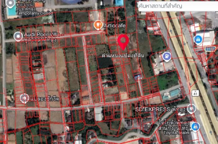 ขายที่ดินพัทลุง 167 ตรว. น้ำไม่ท่วม รูปที่ 3