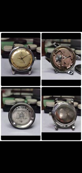 กีต้าร์ไฟฟ้า ยี่ห้อ Aria Proll Magna Series HSH-FR 24Fret (ไม่รวมฮาร์ดเคส)
COLOR : Purple
NECK : Maple , Bolt-on
FINGER BOARD : ROSEWOOD 24F รูปที่ 18