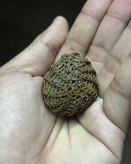 ลูกอม ถักลวด ไม่รู่ทึ่ (มีสินค้าหลายรายการกดเข้ามาดูในโปรไฟล์ได้เลยครับ) รูปที่ 5