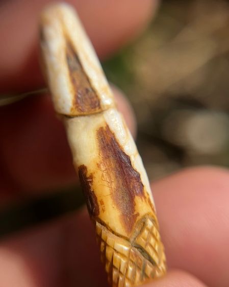 ปลักขิกไม่ทราบที่ (มีสินค้าหลายรายการกดเข้ามาดูในโปรไฟล์ได้เลยครับ)