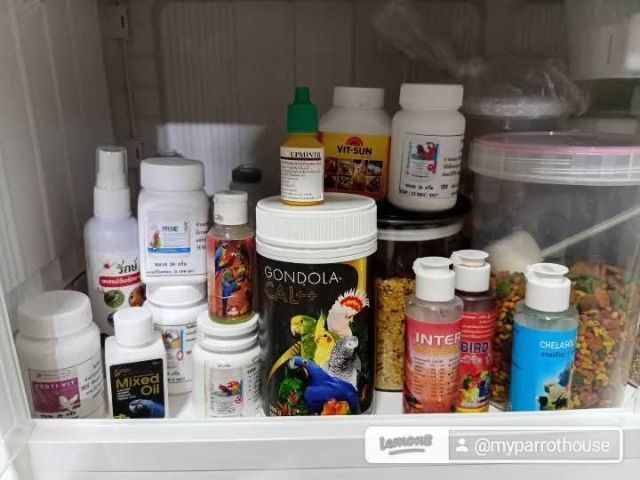 ลูกป้อนค๊อกคาเทล รูปที่ 4