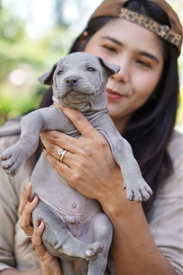 กล้องsony A6000 รูปที่ 12