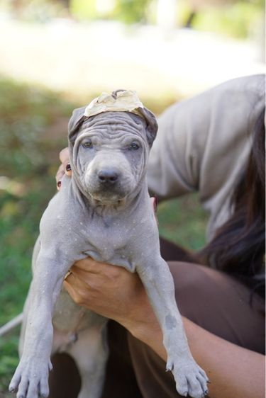 กล้องsony A6000 รูปที่ 11