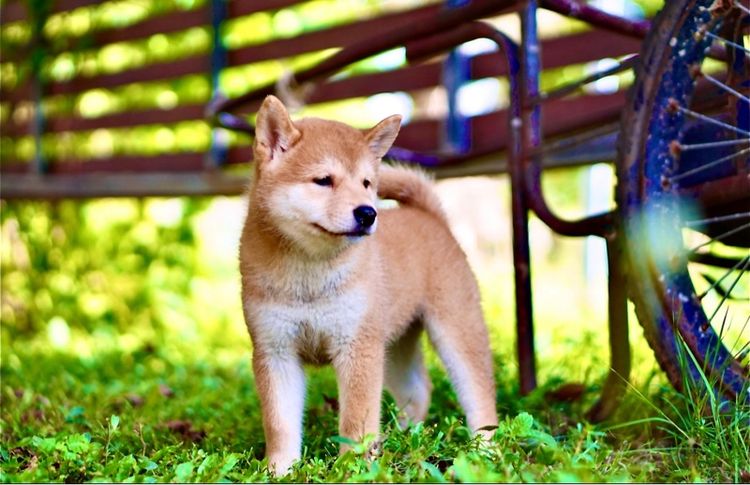 กล้องsony A6000 รูปที่ 9