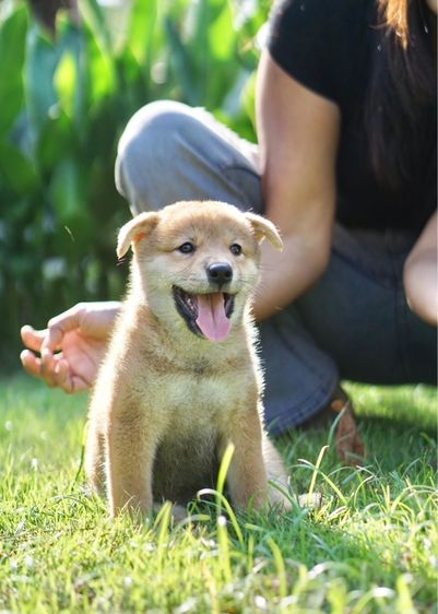 กล้องsony A6000 รูปที่ 10