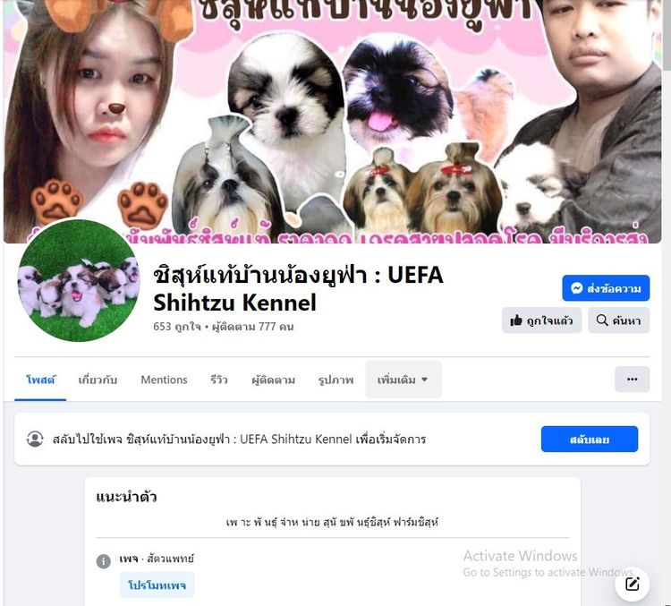 ชิสุห์เเท้ จัดโปร 2 ตัวสุดท้าย ช. พร้อมย้าย รูปที่ 12