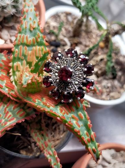 แหวนโกเมนไทยทรงพุ่มเงินแท้ รูปที่ 13