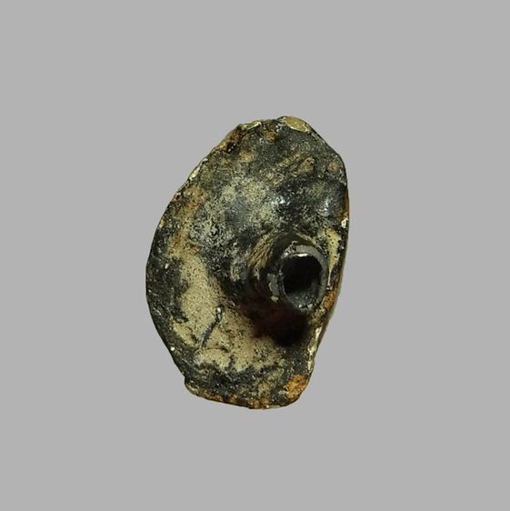 ตะกรุดกระดูกห่าน หลวงพ่อหรุ่น วัดอัมพวัน รูปที่ 6