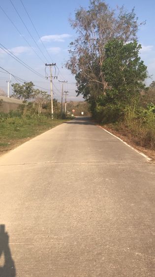 ขายไร่ผลไม้พร้อมมบ้านเดี่ยว รูปที่ 4