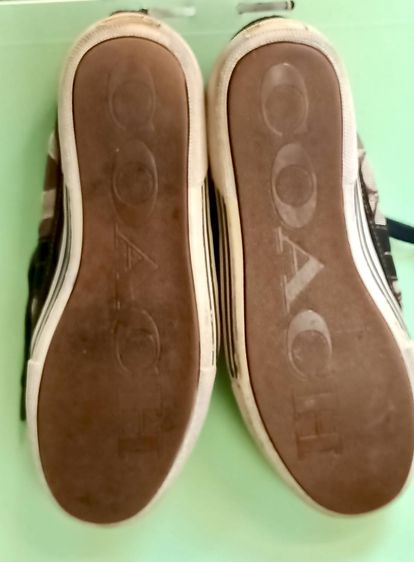 รองเท้าผ้าใบ COACH ผู้ชาย แบบผูกเชือก ของแท้ มือสอง เบอร์ 8 รูปที่ 5